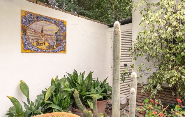 Las Codornices - Photo 79