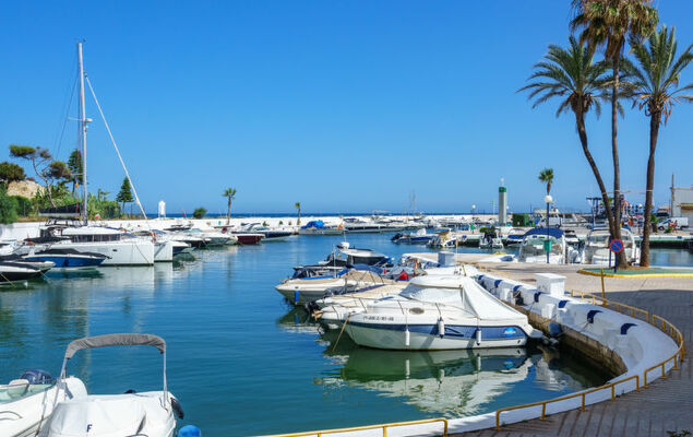 Las Golondrinas Golf view - Photo 23