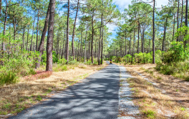 Domaine de Pitrot - Photo 20