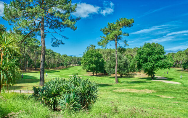 Domaine de Pitrot - Photo 43