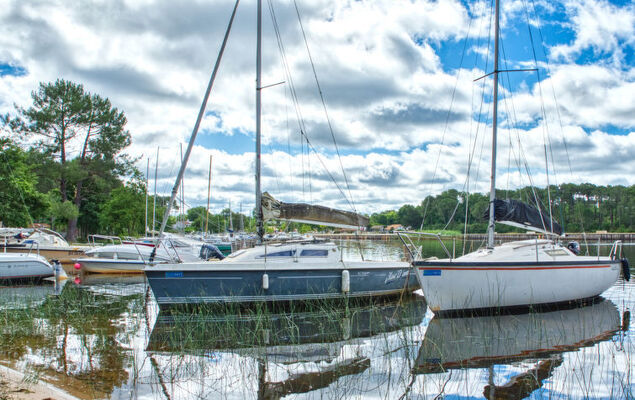 Domaine de Pitrot - Photo 44