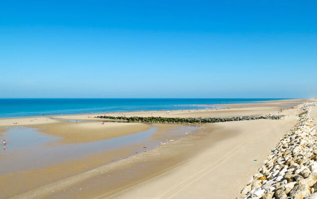 Domaine de Pitrot - Photo 49