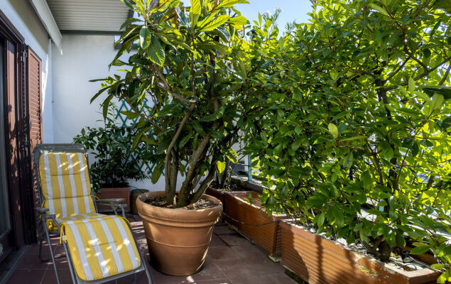 Bianca di Savoia Terrace View - Photo 34